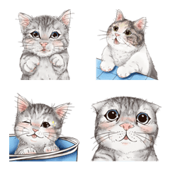 [LINE絵文字] Cute Cats And Kittensの画像