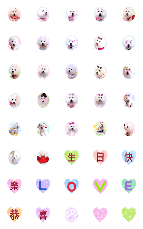 [LINE絵文字]Marshmallow bichon expression packの画像一覧