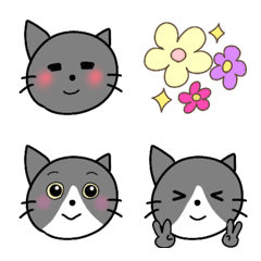 [LINE絵文字] ブリティッシュショートヘア 灰色猫の画像