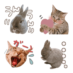 Line絵文字 絵文字なレタスとうめこ 18種類 1円