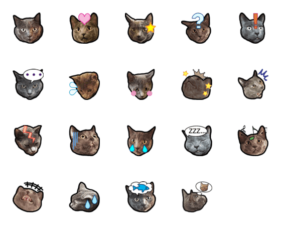 [LINE絵文字]灰猫ミアの日常の画像一覧