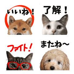 [LINE絵文字] かわいいペットの画像