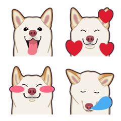 [LINE絵文字] 柴犬（犬）- 白 - 表情集 1/2の画像