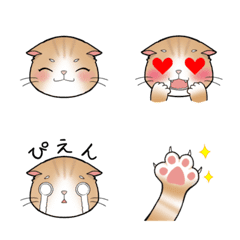 [LINE絵文字] 毎日スコティッシュ。猫ちゃん絵文字の画像