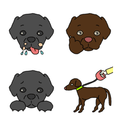 [LINE絵文字] ラブラドールレトリバー（黒＆チョコ）の画像