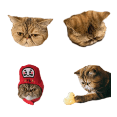 Azuki's emoji 1