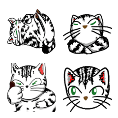 [LINE絵文字] 猫猫絵文字 アメリカンショートヘアーの画像