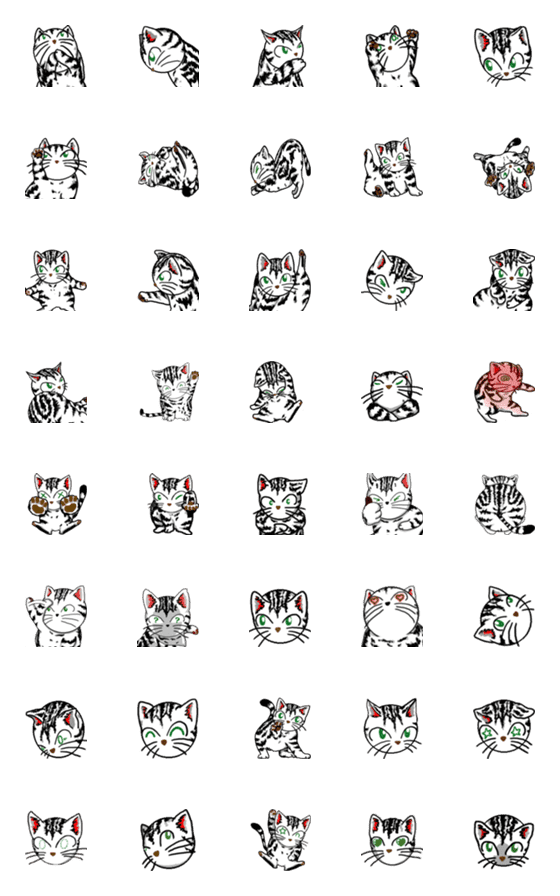 [LINE絵文字]猫猫絵文字 アメリカンショートヘアーの画像一覧
