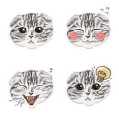 [LINE絵文字] スコのふーちゃんの画像