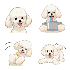 [LINE絵文字] トイプードル（犬）-クリームの画像