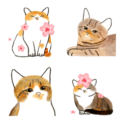 [LINE絵文字] Lovely catsの画像