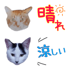 [LINE絵文字] ヒデキチと仲間たちの画像