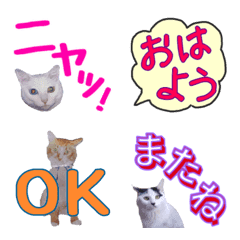 [LINE絵文字] ヒデキチと仲間たち2の画像