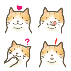 [LINE絵文字] 軽肥満猫のお祝い絵文字の画像