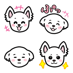 [LINE絵文字] 可愛い 白犬 チワマル ポメマル MIX犬の画像