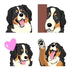 [LINE絵文字] バーニーズマウンテンドッグ(犬)の画像