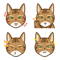 [LINE絵文字] ベンガル猫のくうさんの可愛い絵文字！！！の画像