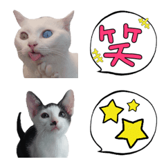 [LINE絵文字] 猫と吹き出しセットの画像