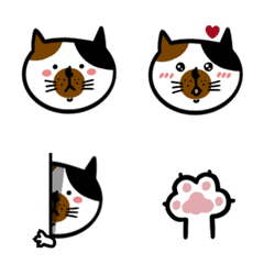 [LINE絵文字] The cutest catの画像