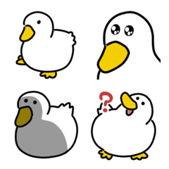 かもかもダック絵文字の絵文字メイン画像
