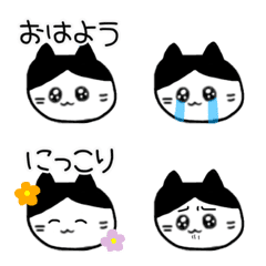 [LINE絵文字] キラキラぴえんな白黒猫ちゃんの絵文字の画像