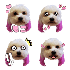 [LINE絵文字] ダップーもこの絵文字の画像