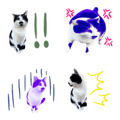 [LINE絵文字] とんがりの猫の画像