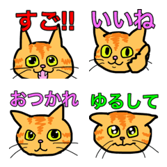 [LINE絵文字] 茶トラ猫ちゃぴお絵文字の画像