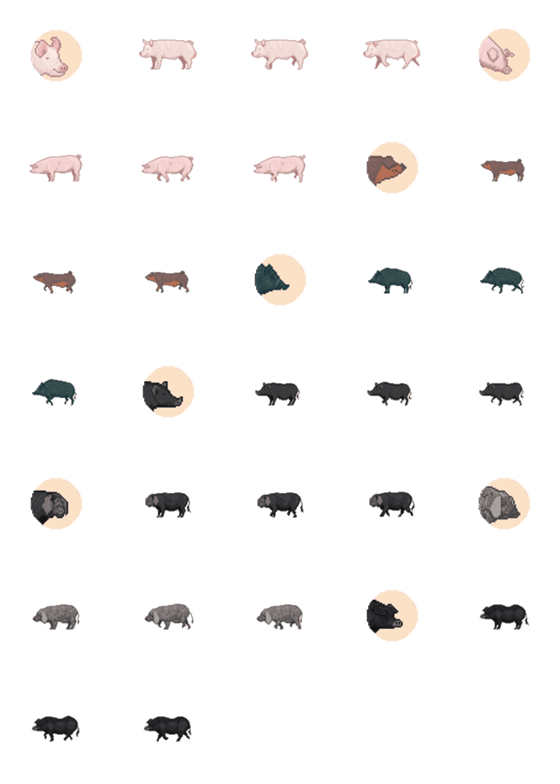[LINE絵文字](Apoil) Pig Breeding in Taiwanの画像一覧