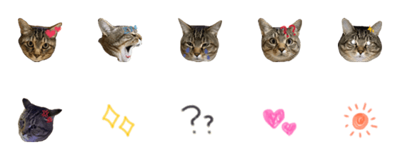 [LINE絵文字]じゃきおの絵文字の画像一覧