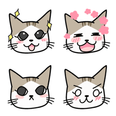 [LINE絵文字] little kitty cat sansanの画像