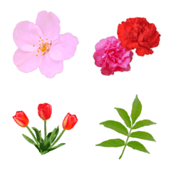[LINE絵文字] フレッシュ◇いろんなお花と葉っぱ2の画像