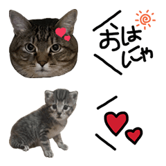 ジャッキー絵文字2の絵文字メイン画像