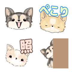 [LINE絵文字] 犬好きに贈る フサフサ チワワの絵文字の画像