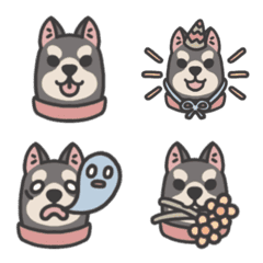[LINE絵文字] Harry the Husky emojiの画像