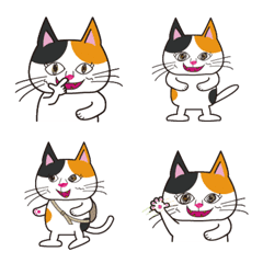 [LINE絵文字] り～ちゃんの毎日使える猫絵文字3の画像