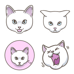 [LINE絵文字] 猫の喜怒哀楽(白猫）の画像