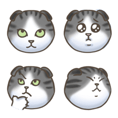 [LINE絵文字] 猫の喜怒哀楽(スコティッシュフォールド）の画像