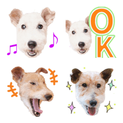 毎日使えるハッピーテリアの写真で絵文字の絵文字メイン画像