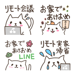 [LINE絵文字] お家で過す白ねこちゃんの画像