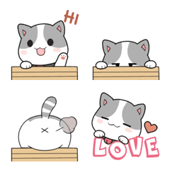 [LINE絵文字] Nyan the peeping cat emojiの画像