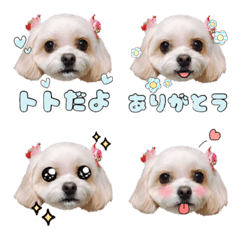 [LINE絵文字] キャバプートトの絵文字の画像