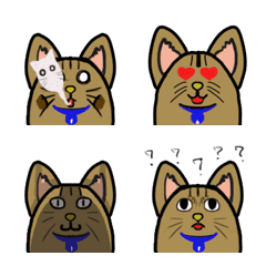 [LINE絵文字] QQ is a Happy Catの画像
