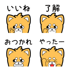 [LINE絵文字] ピョコ吉あいさつ絵文字の画像