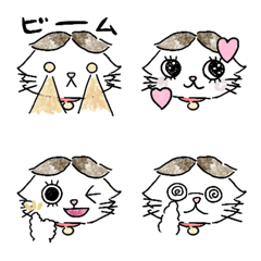 [LINE絵文字] 表情が豊か過ぎるマンチカンの画像