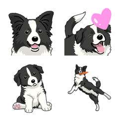 [LINE絵文字] ボーダーコリー（犬）の画像