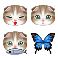 [LINE絵文字] 猫×蝶×魚・絵の具タッチの画像