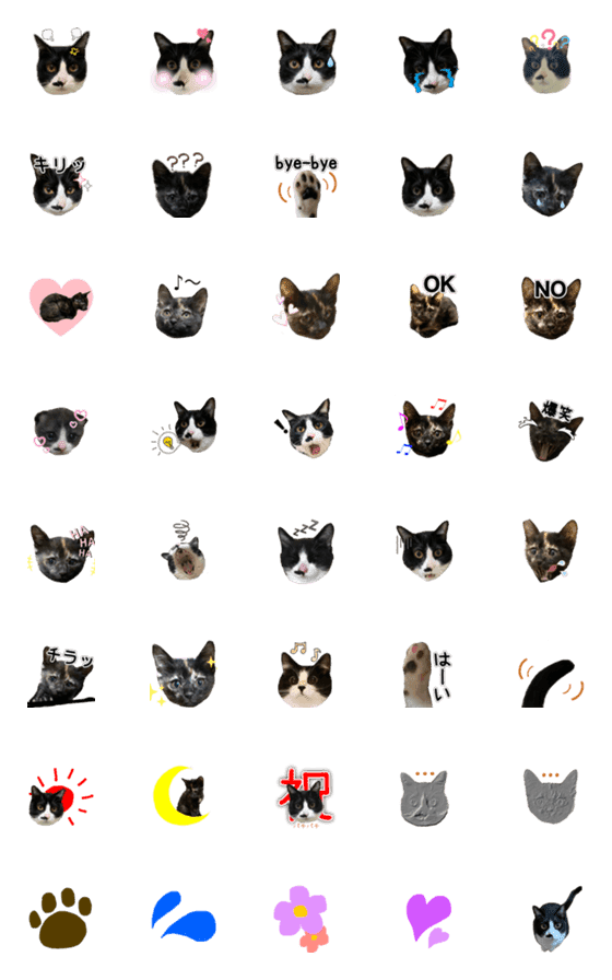 [LINE絵文字]うちのハチワレandサビの画像一覧
