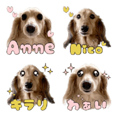 [LINE絵文字] ミニチュアダックス あんとにこの絵文字の画像