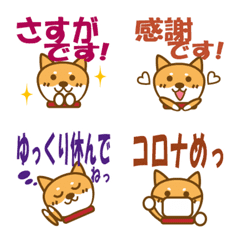 [LINE絵文字] 柴犬 気持ちを伝えるの画像